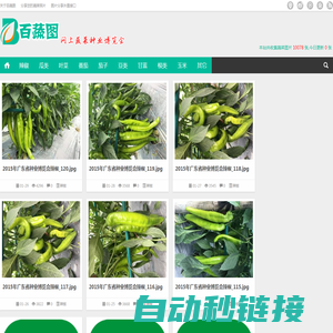 百蔬图（农科百蔬网）|免费蔬菜高清图片分享网站